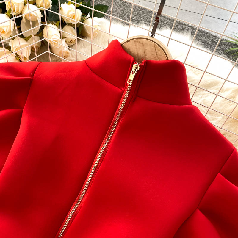 Fashionable American Stand Up Collar Zipper Women's Dress - Harmony Gallery