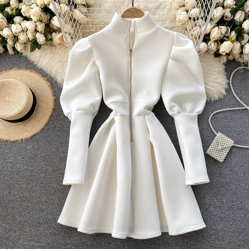 Fashionable American Stand Up Collar Zipper Women's Dress - Harmony Gallery